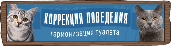 Коррекция поведения